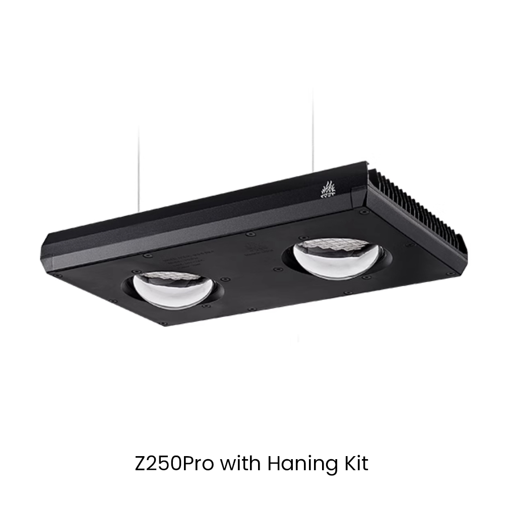 Aqua Marine Tank - Week AQUA Z250/Z400 Deniz LED Mercan