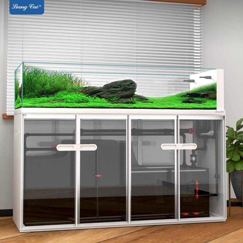 Aquarium Marine Fish For Sale - Büyük Modern Tarz Cam Akvaryum, Stok