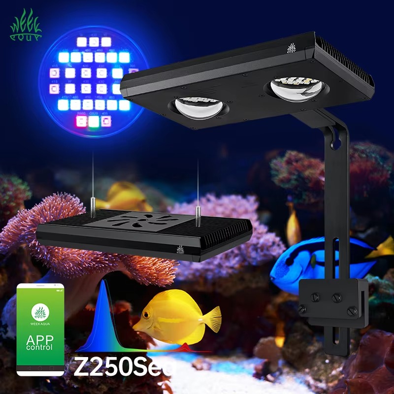 Aqua Marine Tank - Week AQUA Z250/Z400 Deniz LED Mercan