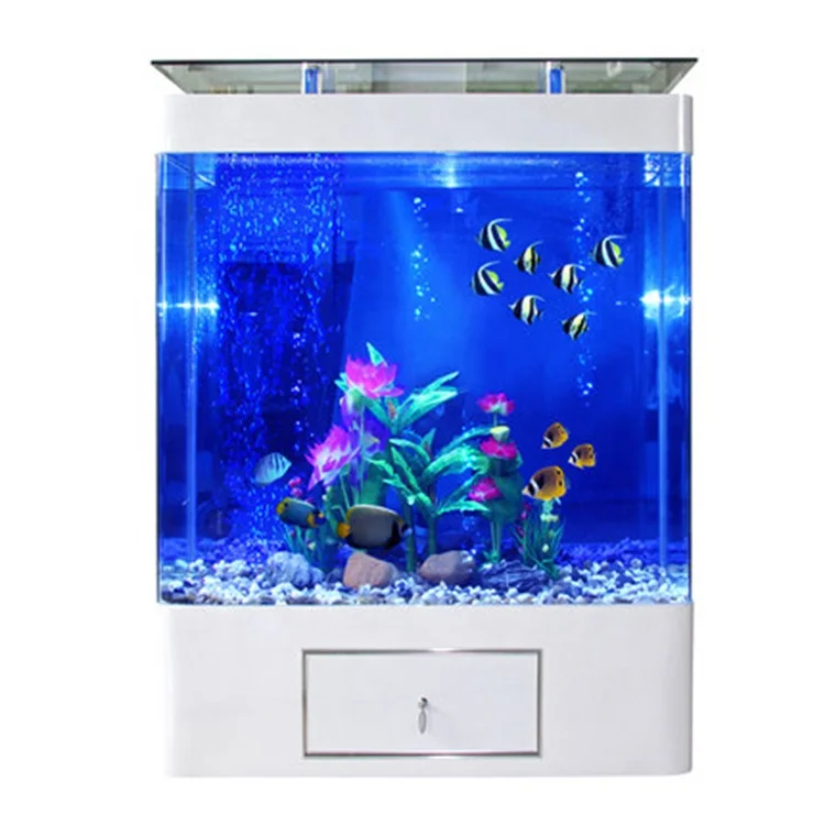 Aquarium Marine Fish For Sale - Özel Tasarım, 200 Galonluk Büyük Balık