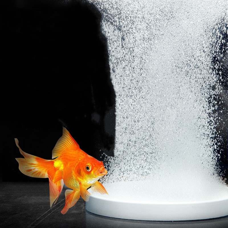Marine Aquarium Nano - Nano Disk Hava Taşı Oksijen Havalandırıcı