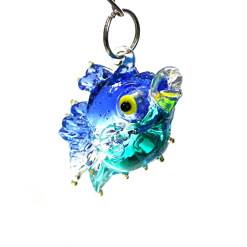 2 adet küçük deniz balığı glam - Marine Aquarium Orp incelemesi ve fiyatı