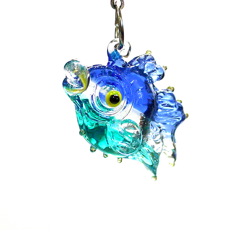 2 adet küçük deniz balığı glam - Marine Aquarium Orp incelemesi ve fiyatı