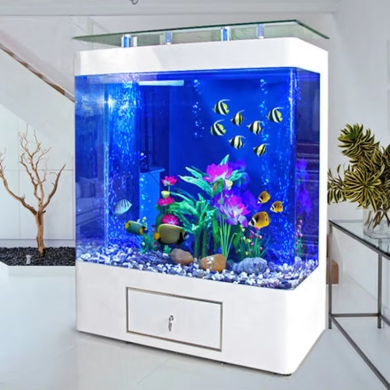 200 Galonluk Cam Balık Akvaryu - Aquarium Marine Fish For Sale incelemesi ve fiyatı