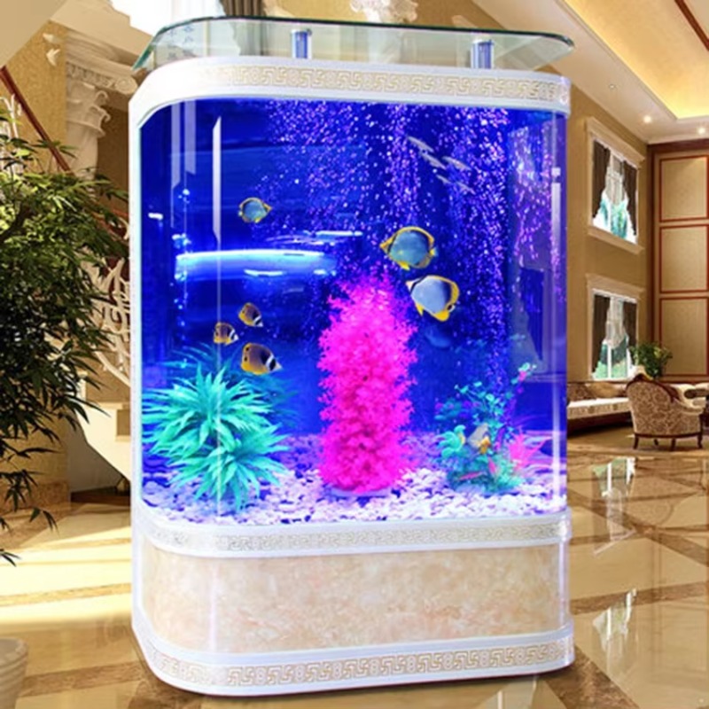 200 Galonluk Cam Balık Akvaryu - Aquarium Marine Fish For Sale incelemesi ve fiyatı