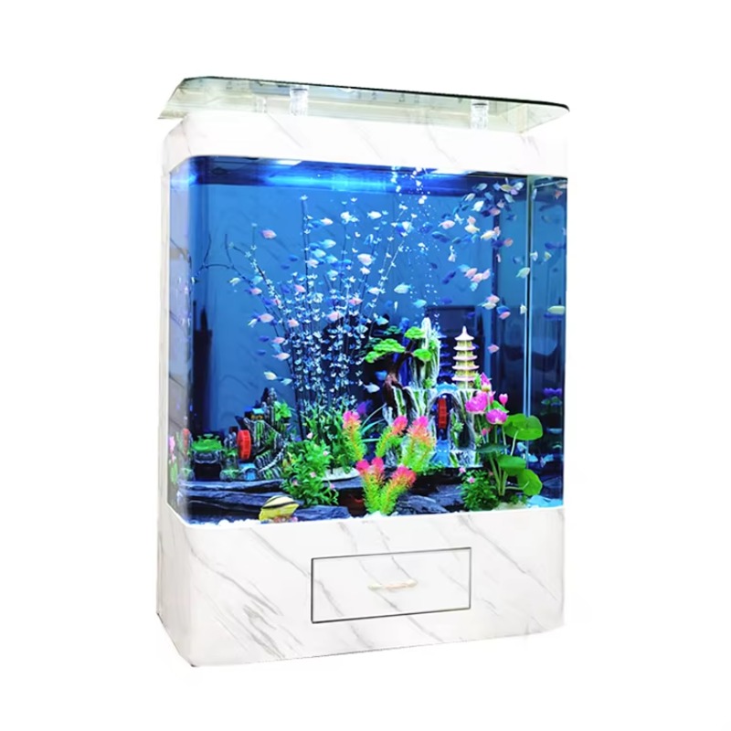 200 Galonluk Cam Balık Akvaryu - Aquarium Marine Fish For Sale incelemesi ve fiyatı