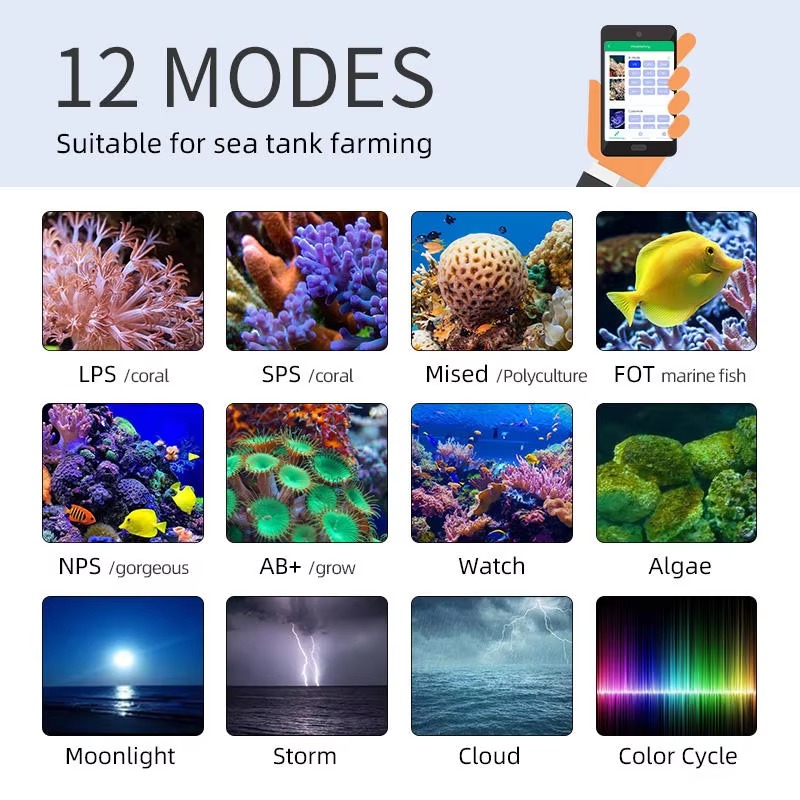 Week AQUA Z250/Z400 Deniz LED  - Aqua Marine Tank incelemesi ve fiyatı