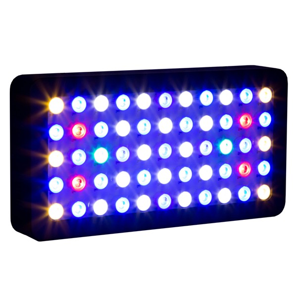Akvaryum için LED Programlanab - Marine Aquarium Used incelemesi ve fiyatı