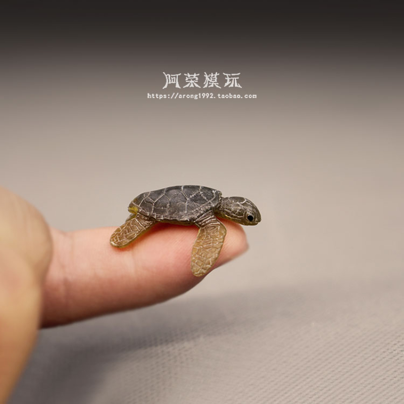 Deniz yaşamı deniz kaplumbağas - Marine Aquarium Orp incelemesi ve fiyatı