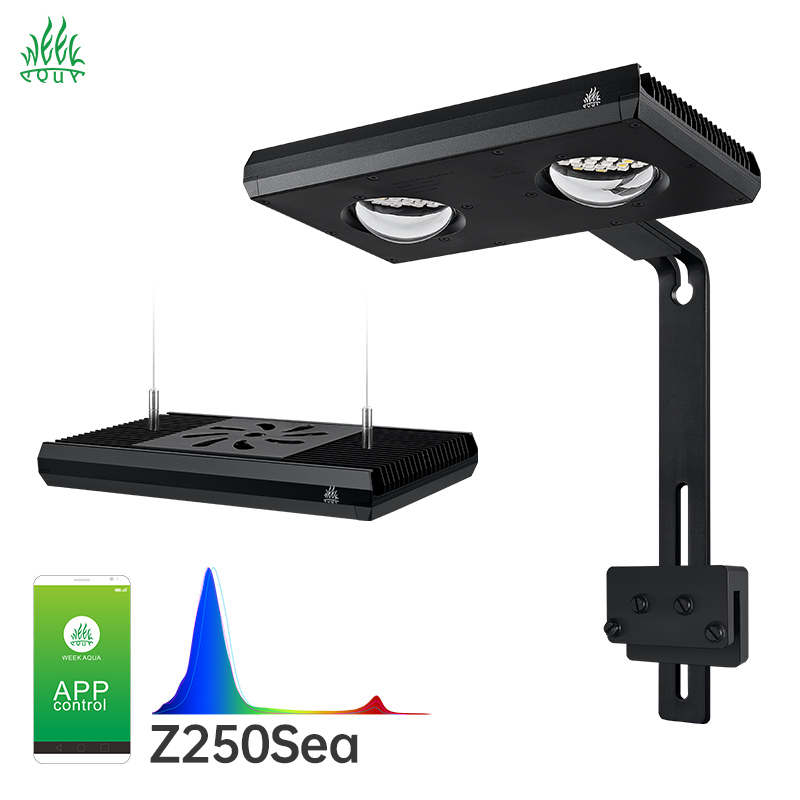 Week Aqua Z250Sea Z400Sea Merc - Aqua Marine Tank incelemesi ve fiyatı