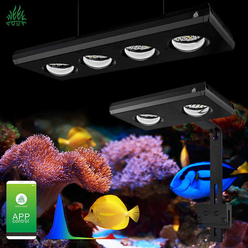 Week Aqua Z250Sea Z400Sea Merc - Aqua Marine Tank incelemesi ve fiyatı