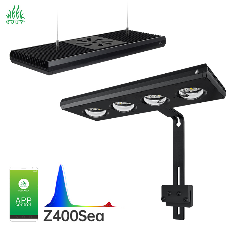 Week Aqua Z250Sea Z400Sea Merc - Aqua Marine Tank incelemesi ve fiyatı