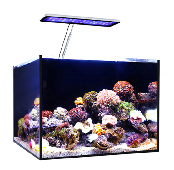 MicMol Aqua CC Tam Spektrumlu  - Aqua Marine Tank incelemesi ve fiyatı