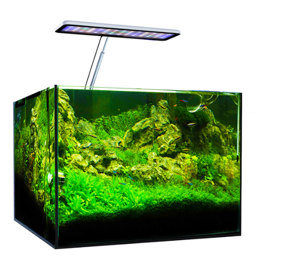 MicMol Aqua CC Tam Spektrumlu  - Aqua Marine Tank incelemesi ve fiyatı