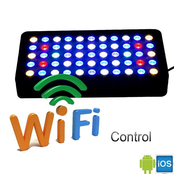 Akvaryum için 3W Çip LED, Prog - Marine Aquarium Used incelemesi ve fiyatı