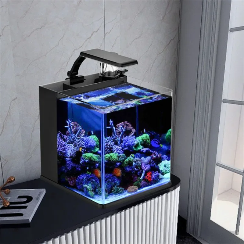 Sıcak satışlar Ultra Şeffaf Ca - Aquarium Marine Fish For Sale incelemesi ve fiyatı