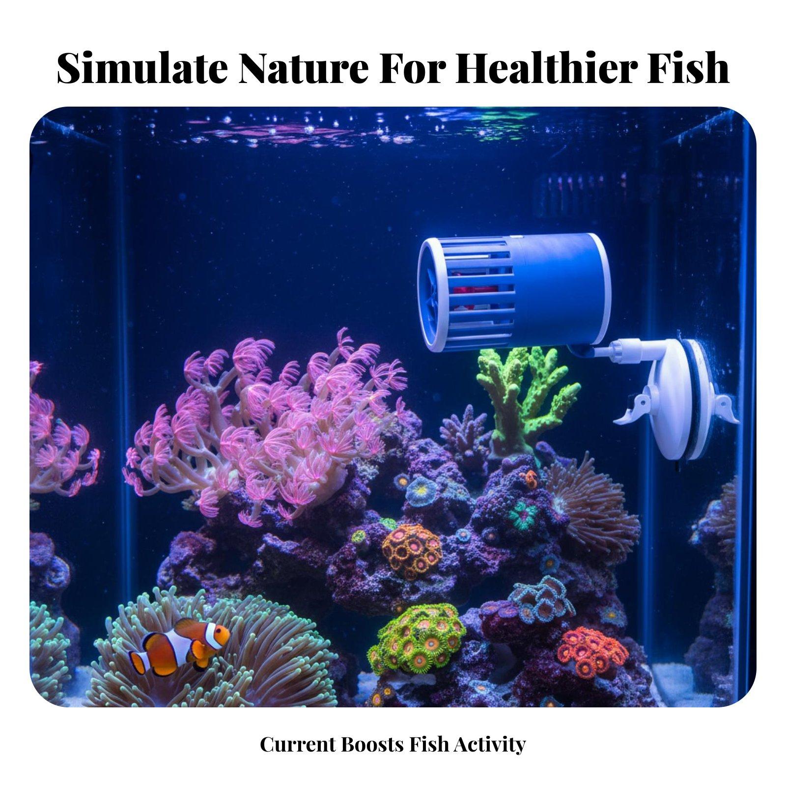 Balık Tankı Dalga Üretici Dalg - Marine Aquarium Wave Maker incelemesi ve fiyatı