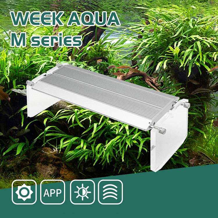 WEEK AQUA Akvaryum Deniz Merca - Aqua Marine Tank incelemesi ve fiyatı