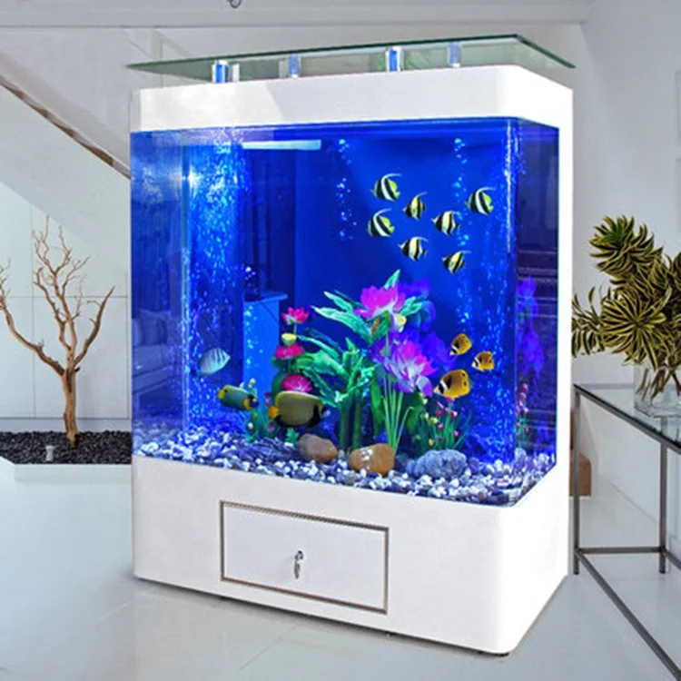 Özel Tasarım, 200 Galonluk Büy - Aquarium Marine Fish For Sale incelemesi ve fiyatı