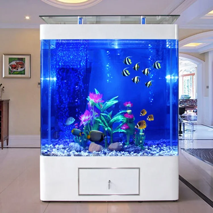 Özel Tasarım, 200 Galonluk Büy - Aquarium Marine Fish For Sale incelemesi ve fiyatı