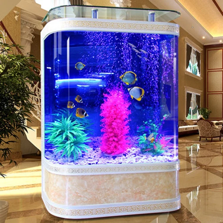 Özel Tasarım, 200 Galonluk Büy - Aquarium Marine Fish For Sale incelemesi ve fiyatı