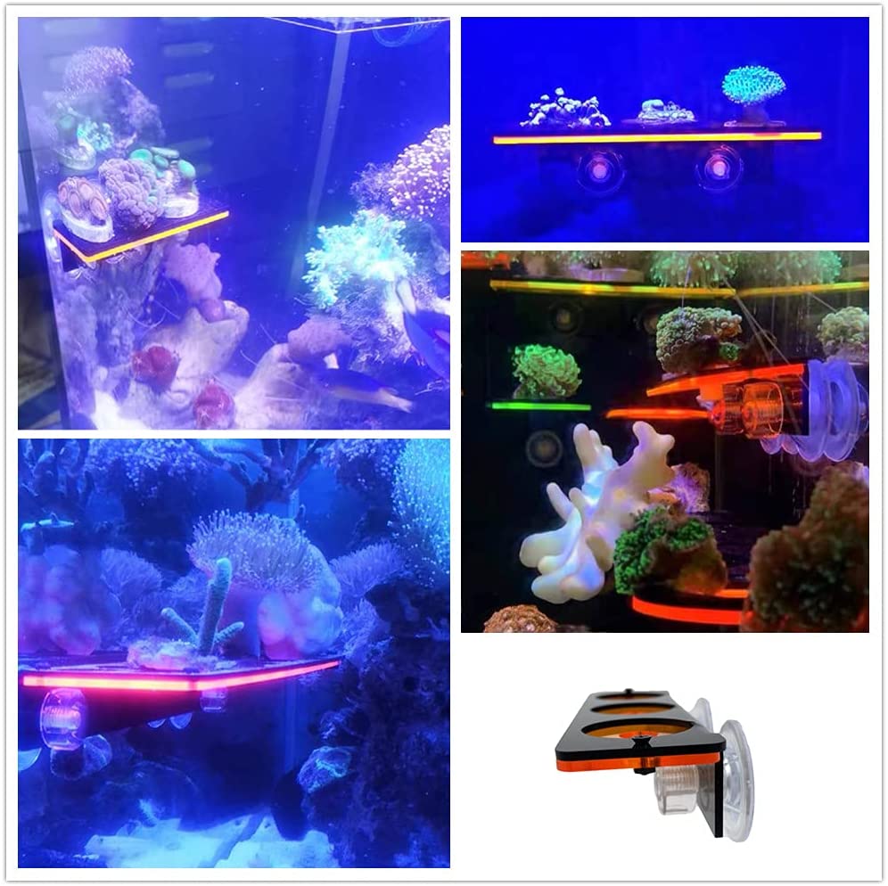 Floresan Mercan Frag Fiş Brake - Marine Aquarium Orp incelemesi ve fiyatı